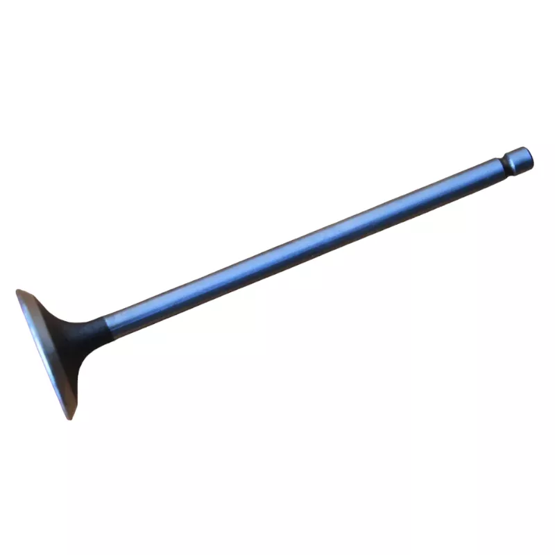 Қозғалтқыш клапаны Replica MD339752 4G18 16V