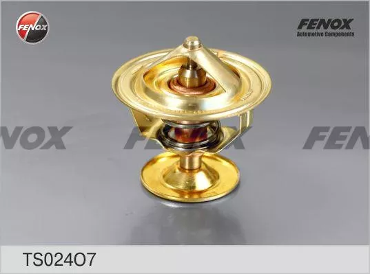 FENOX термостат TS024O7