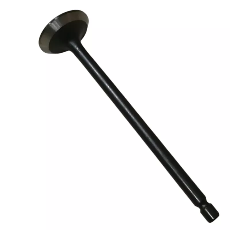 Қозғалтқыш клапаны Replica MN176598 4D56 16V