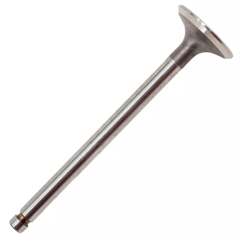 Клапан выпускной Rocky mb1110