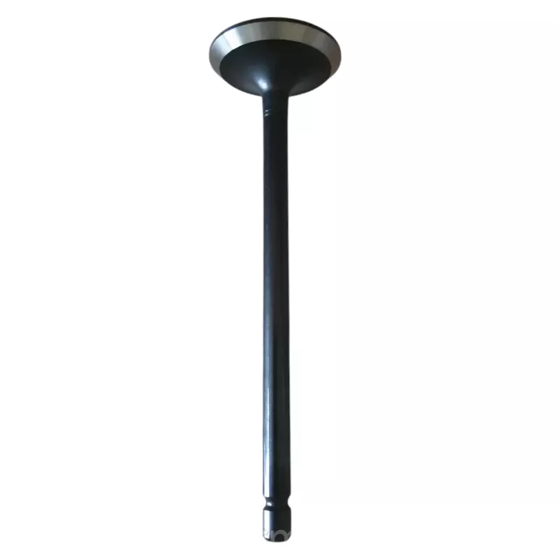 Қозғалтқыш клапаны Replica MN176597 4D56 16V