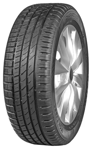 Ikon Tyres (Nokian) Character Eco 205/60 R16 92 H