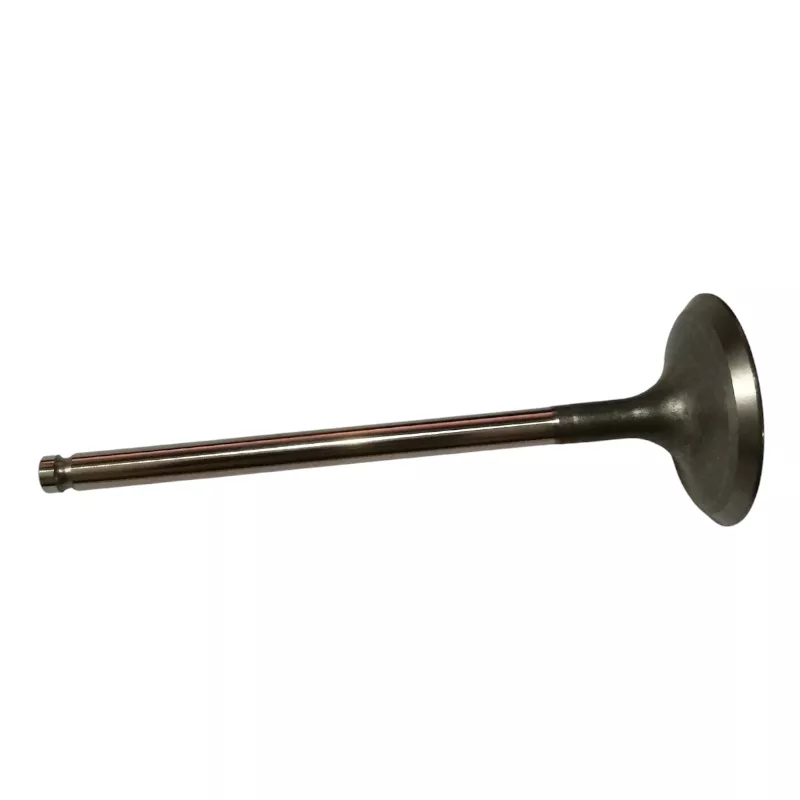 Қозғалтқыш клапаны Replica 1010A357 4B10/4B11/4B12
