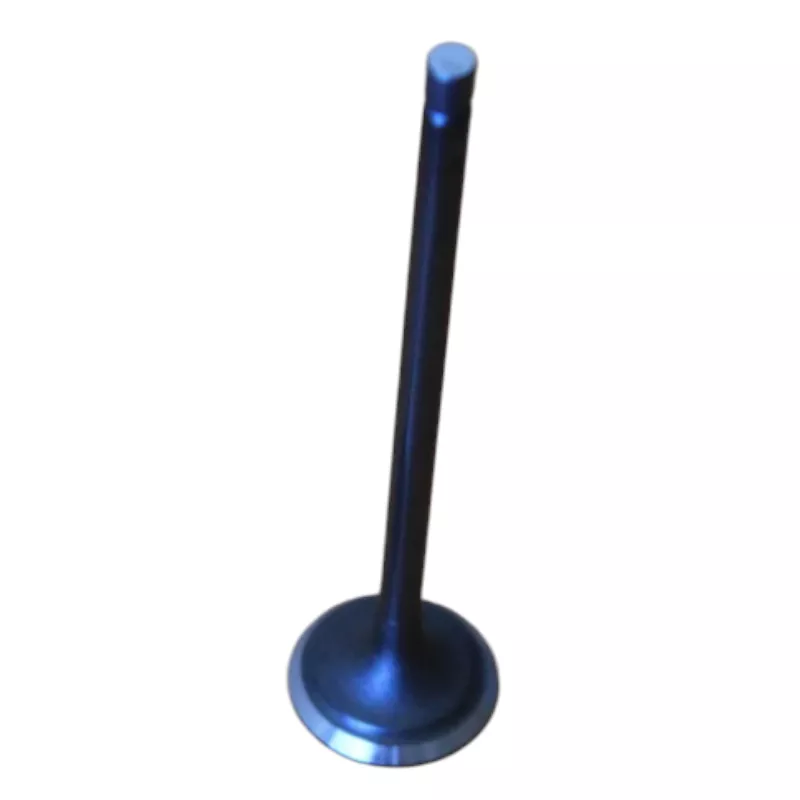 Қозғалтқыш клапаны Replica MD342091 4G13 16V