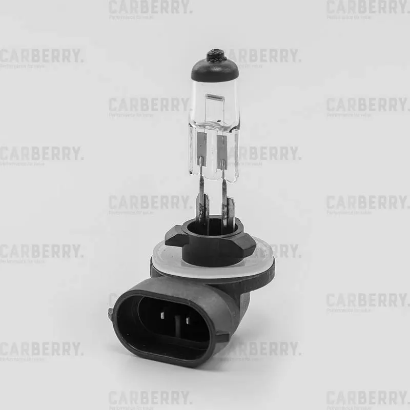 CARBERRY Лампа H27/W2 12V (27W) Day&Night