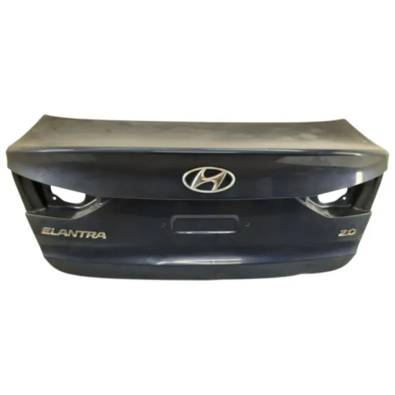 ELANTRA 19-20 МАГИСТРАЛЬДЫҚ ҚАҚПАҒЫ