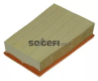 FRAM Воздушный Фильтр CA10654